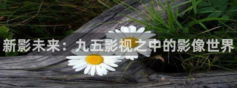 人人影音播放器