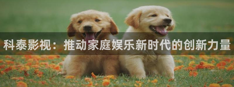 人人影视剧