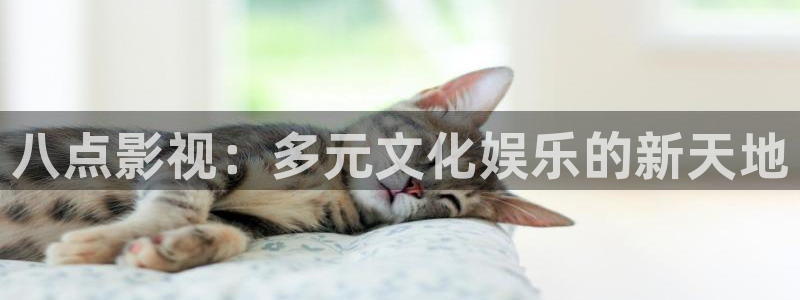 人人影院在线观看免费高清电视剧