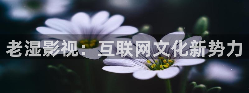 人人影院视频