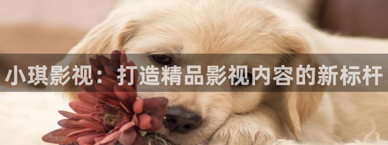 人人影院影院