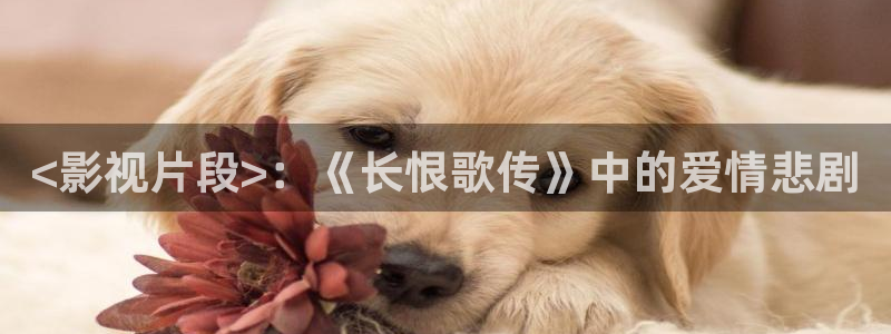 人人影视官网