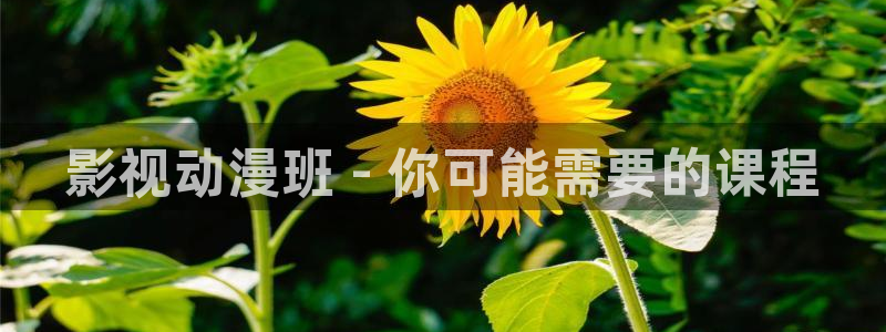 新人人影院