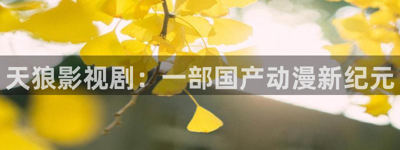 人人视频