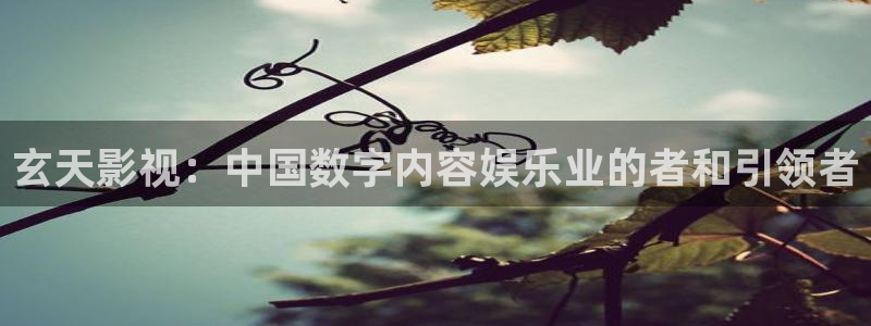 人人影音播放器