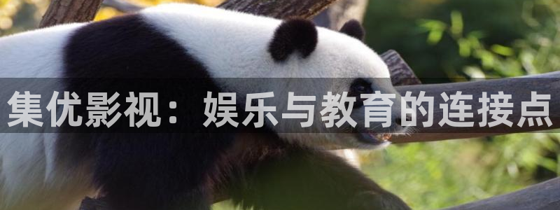人人视频.