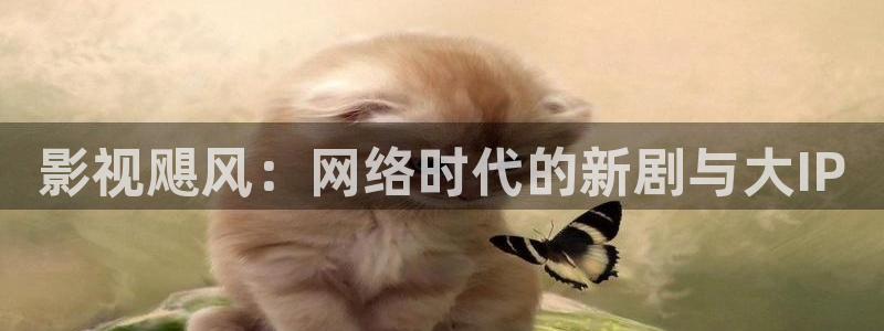 人人影院视频
