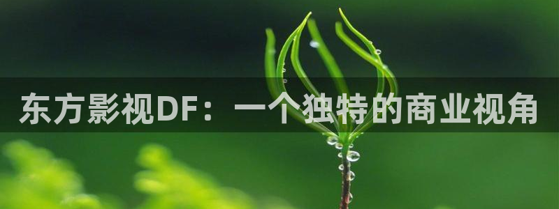 人人干人人视频