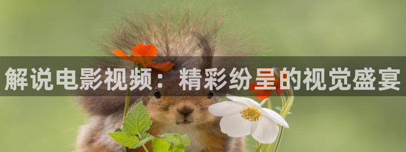 新闻图片