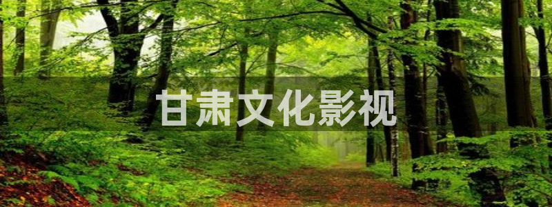 人人视频电视端